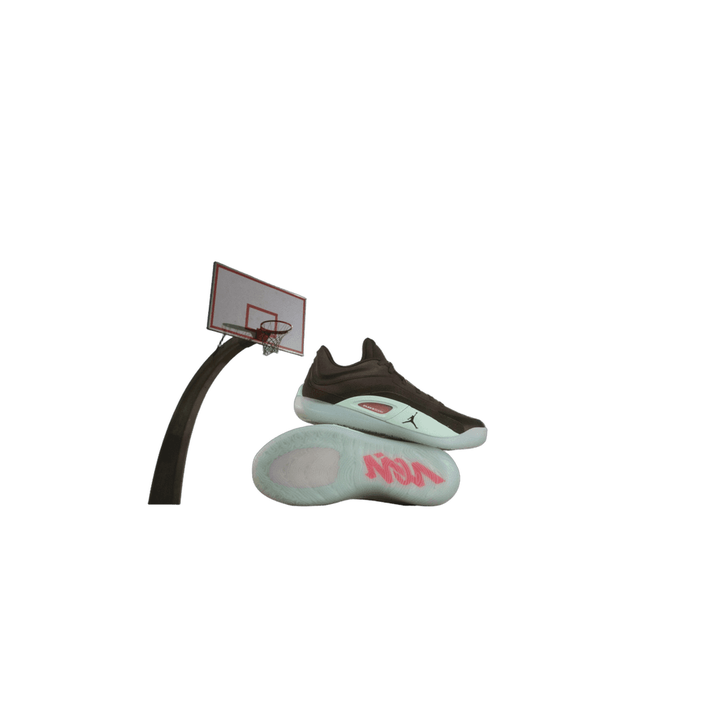 Zion 4