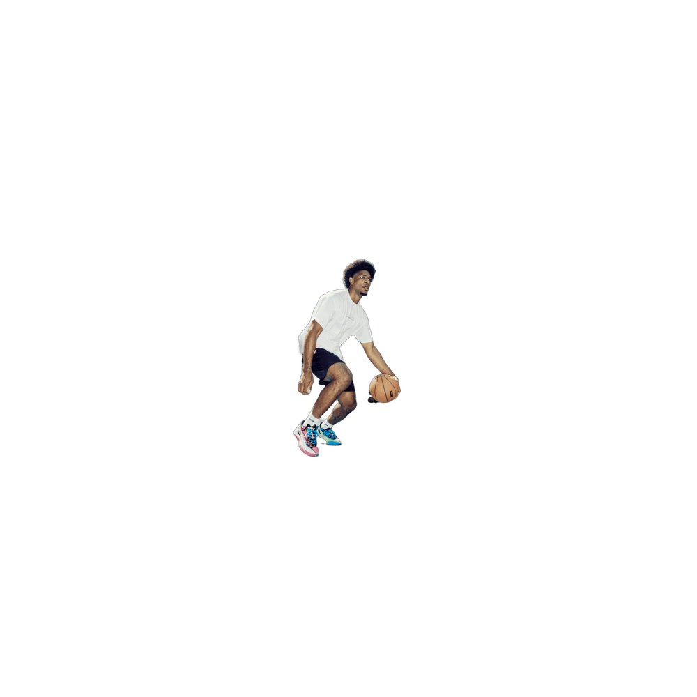 Hoops Legacy