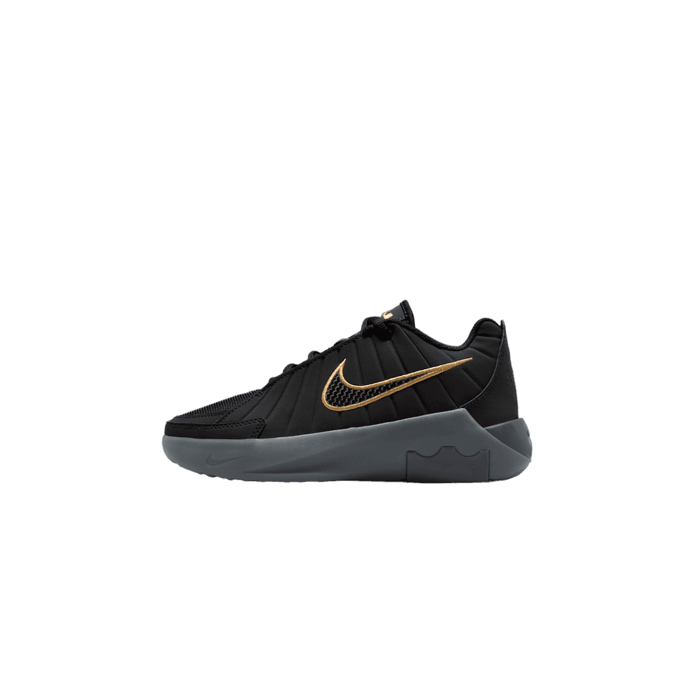 LeBron Witness 2