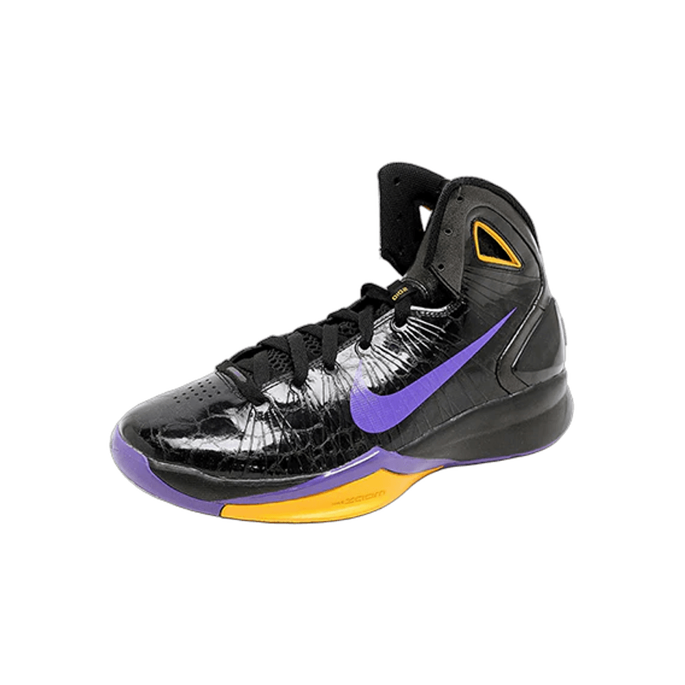 Nike Hyperdunk 2010