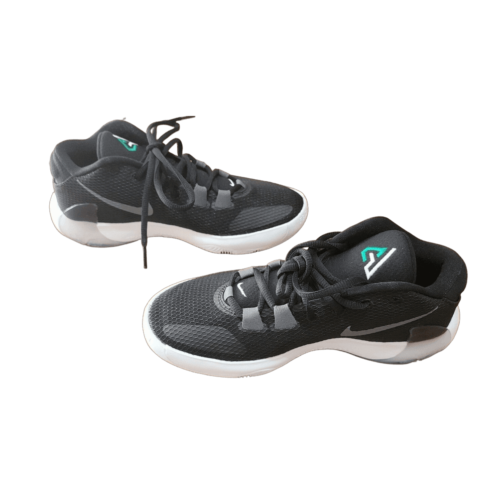 Zoom Freak 1